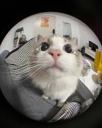My Github Photo